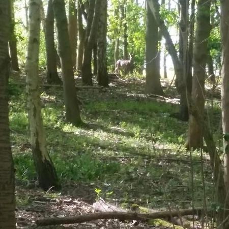 Westhurst Park Bnb Bredon Экстерьер фото
